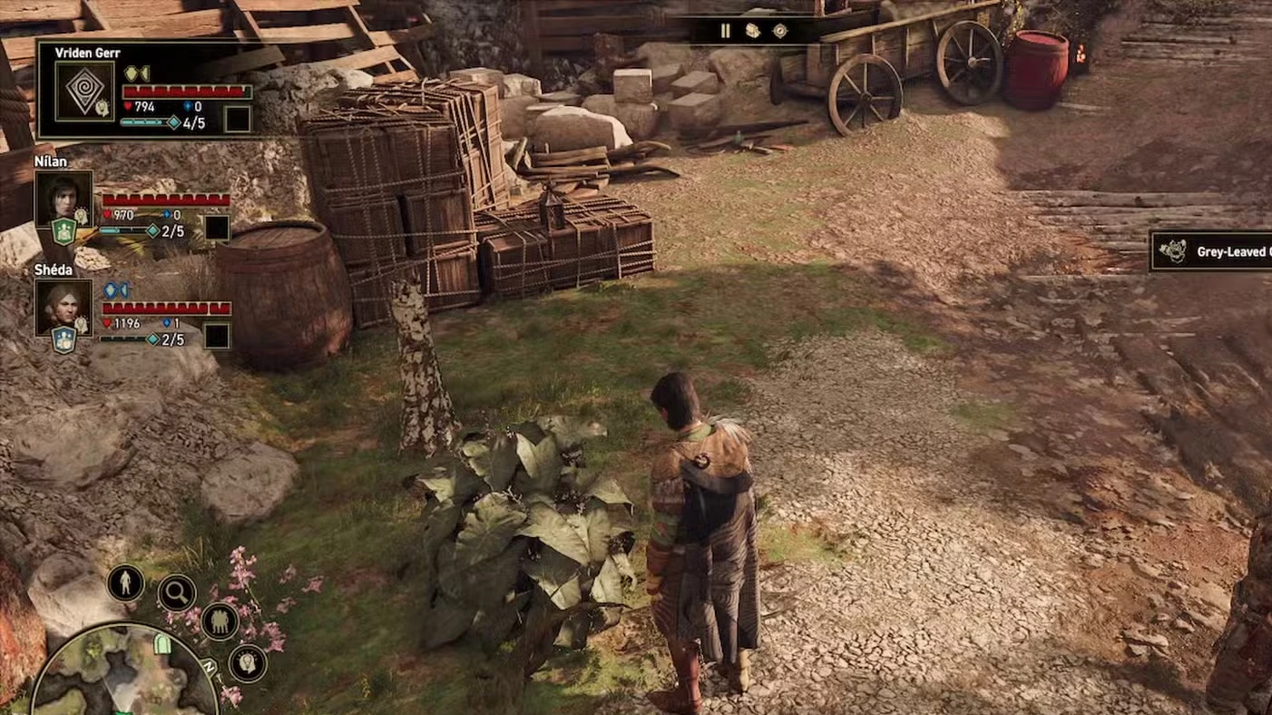 GreedFall 2: A Dying Forest Walkthrough