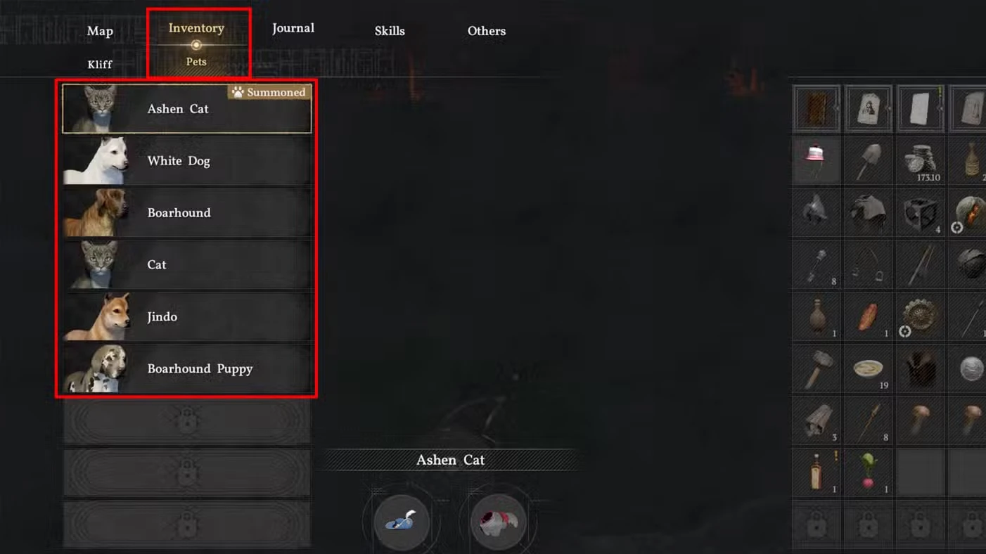How To Get Cat Armor In Crimson Desert