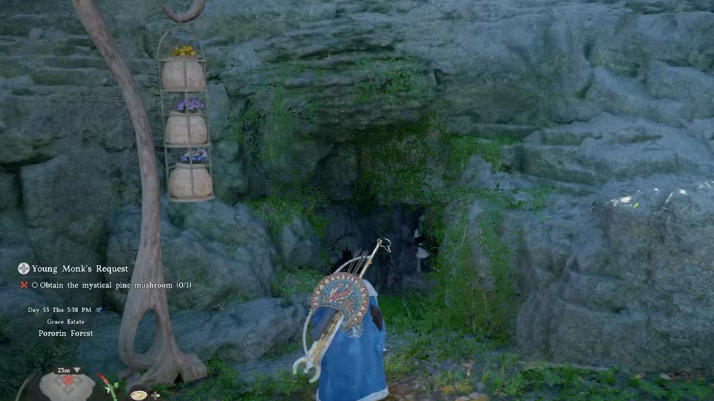 Mystical Pine Mushroom Location (Young Monk's Request) in Crimson Desert