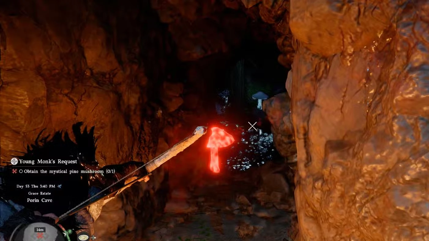 Mystical Pine Mushroom Location (Young Monk's Request) in Crimson Desert