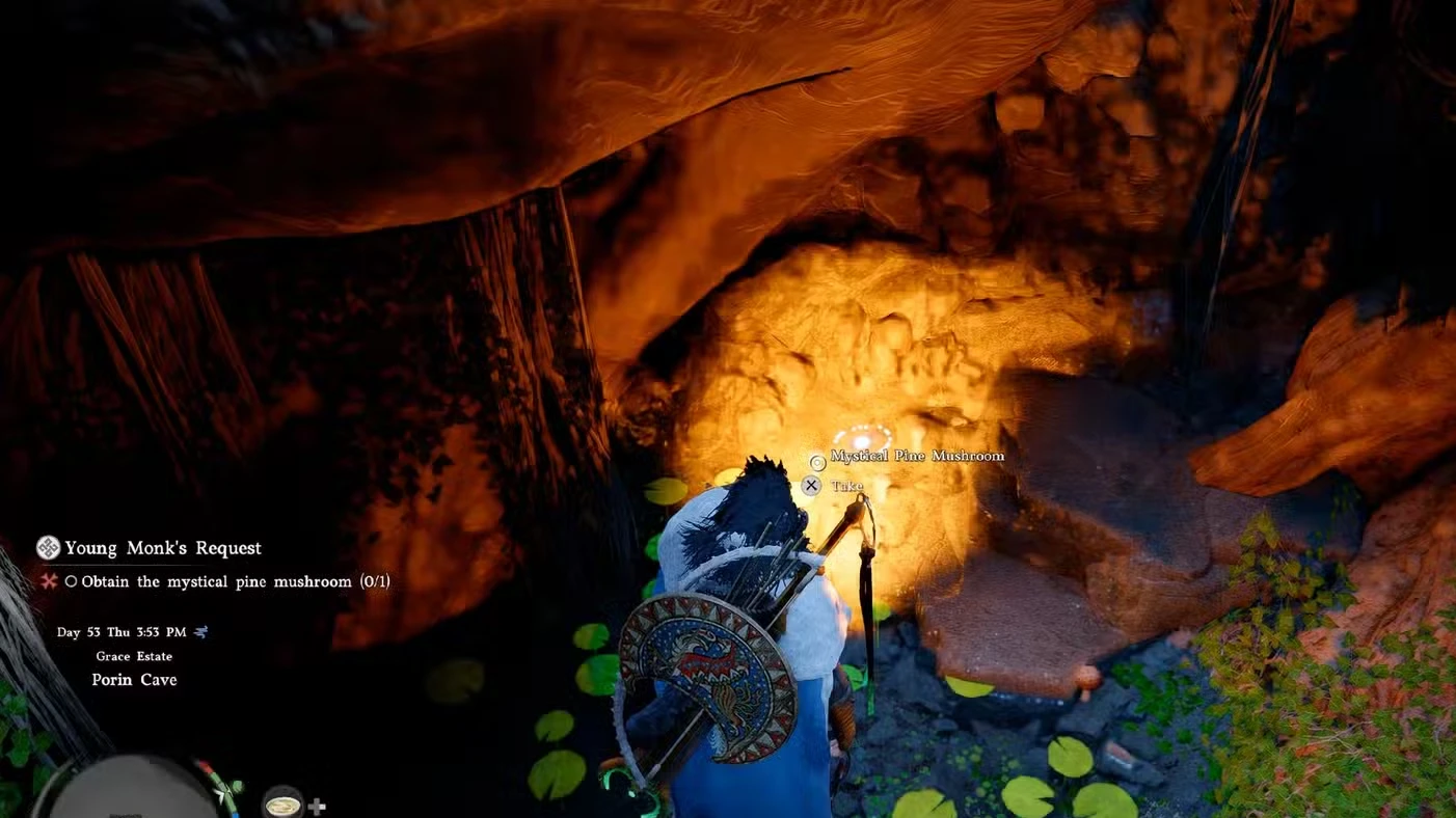 Mystical Pine Mushroom Location (Young Monk's Request) in Crimson Desert