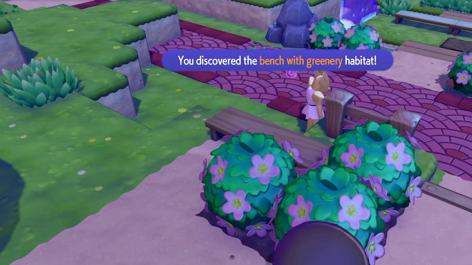 Pokemon Pokopia Beginner Tips and Tricks
