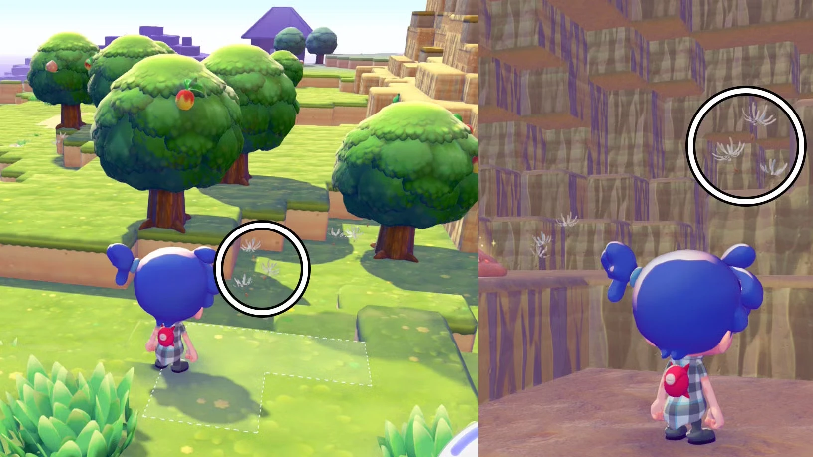 Pokémon Pokopia 'More Spores for Hoppip!' event guide