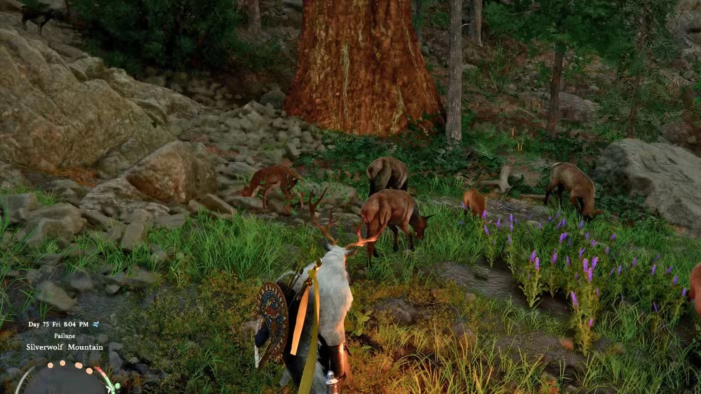 Reindeer Cloak Location in Crimson Desert (Deer Disguise)