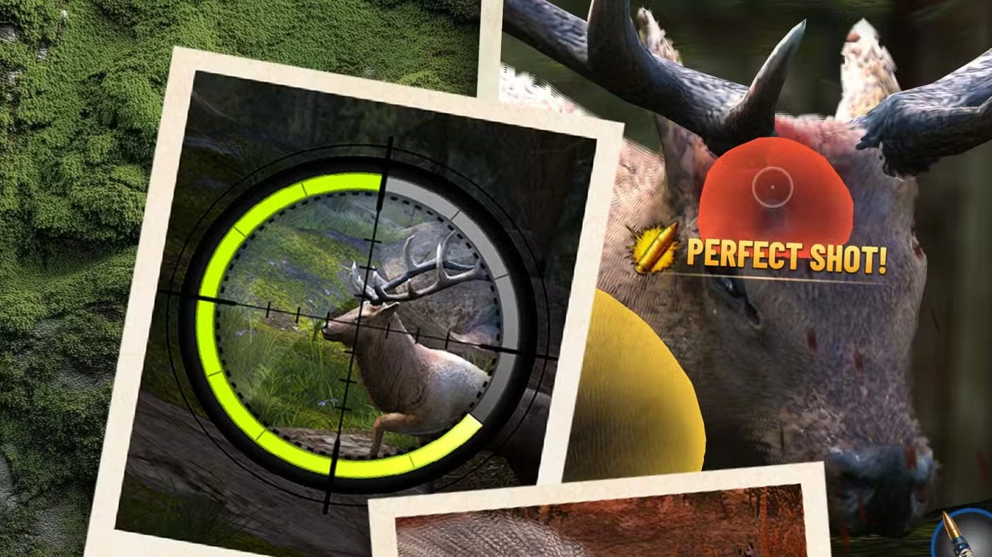 Trophy Hunter Codes