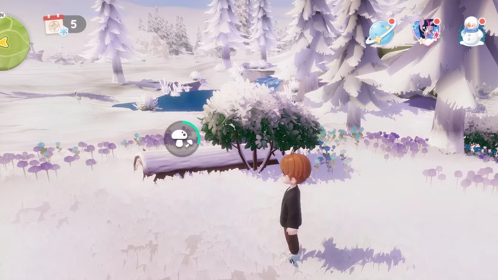 Where to Find Bizarre Mushrooms in Heartopia