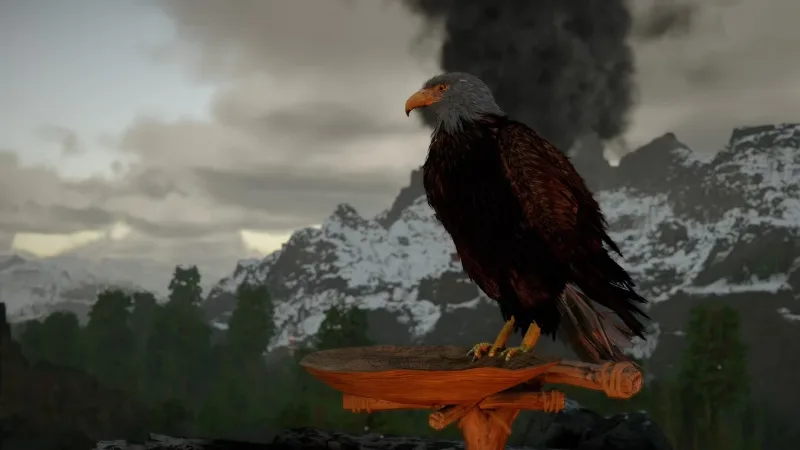 Onde encontrar e domar Gyrfalcon e Eagle em Crimson Desert