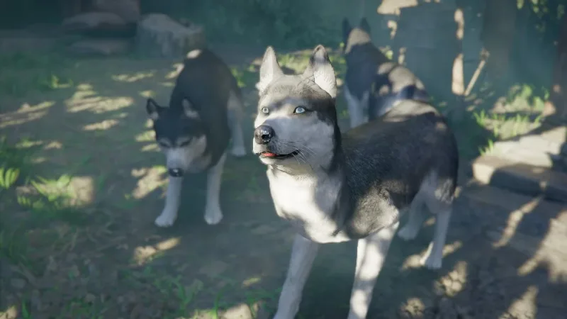 Onde encontrar huskies em Crimson Desert e qual comida eles preferem