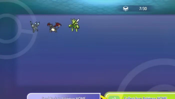 Pokemon Champions: Everything included in the Paid Membership