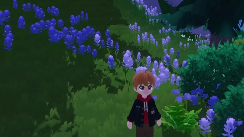 Onde encontrar todos os fiddleheads em Heartopia