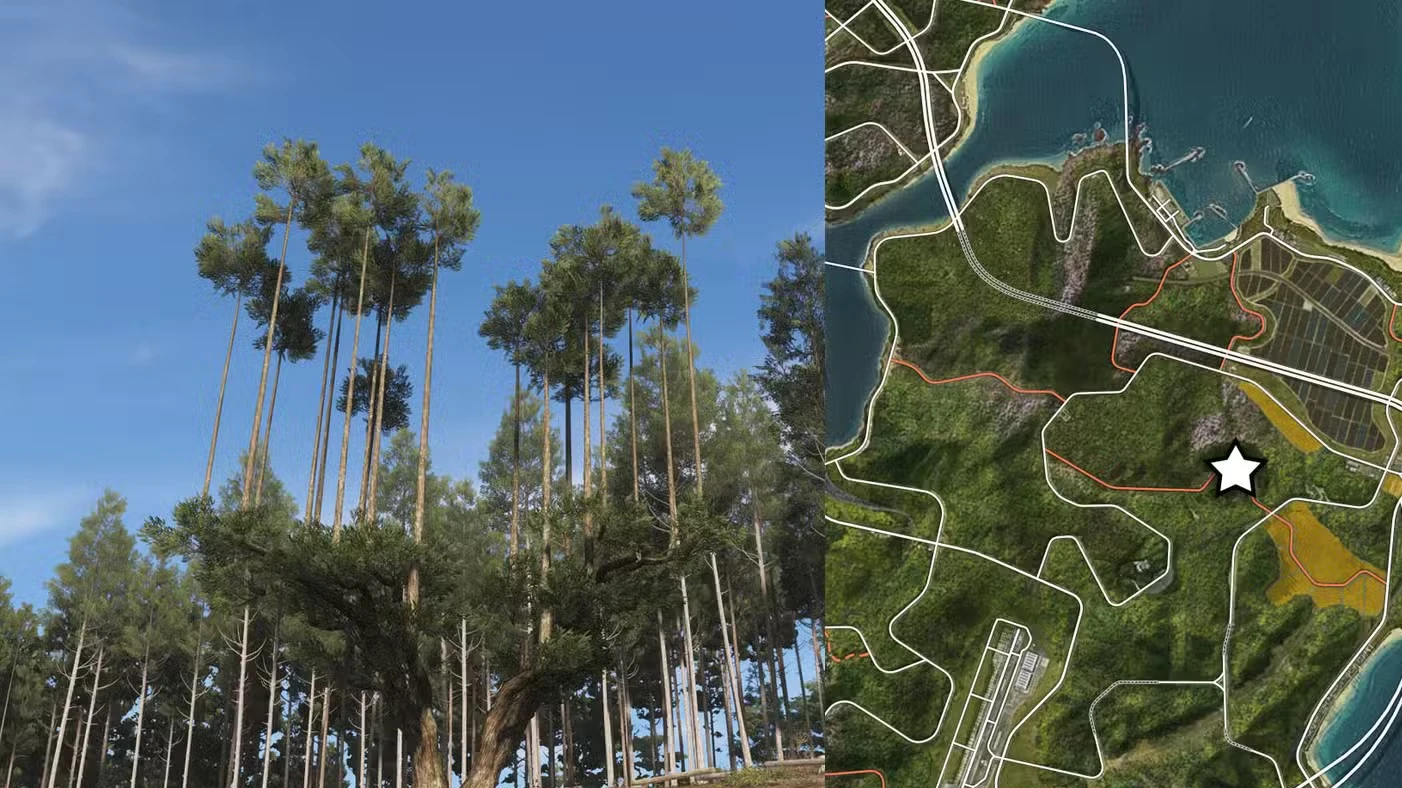All photography locations in Forza Horizon 6