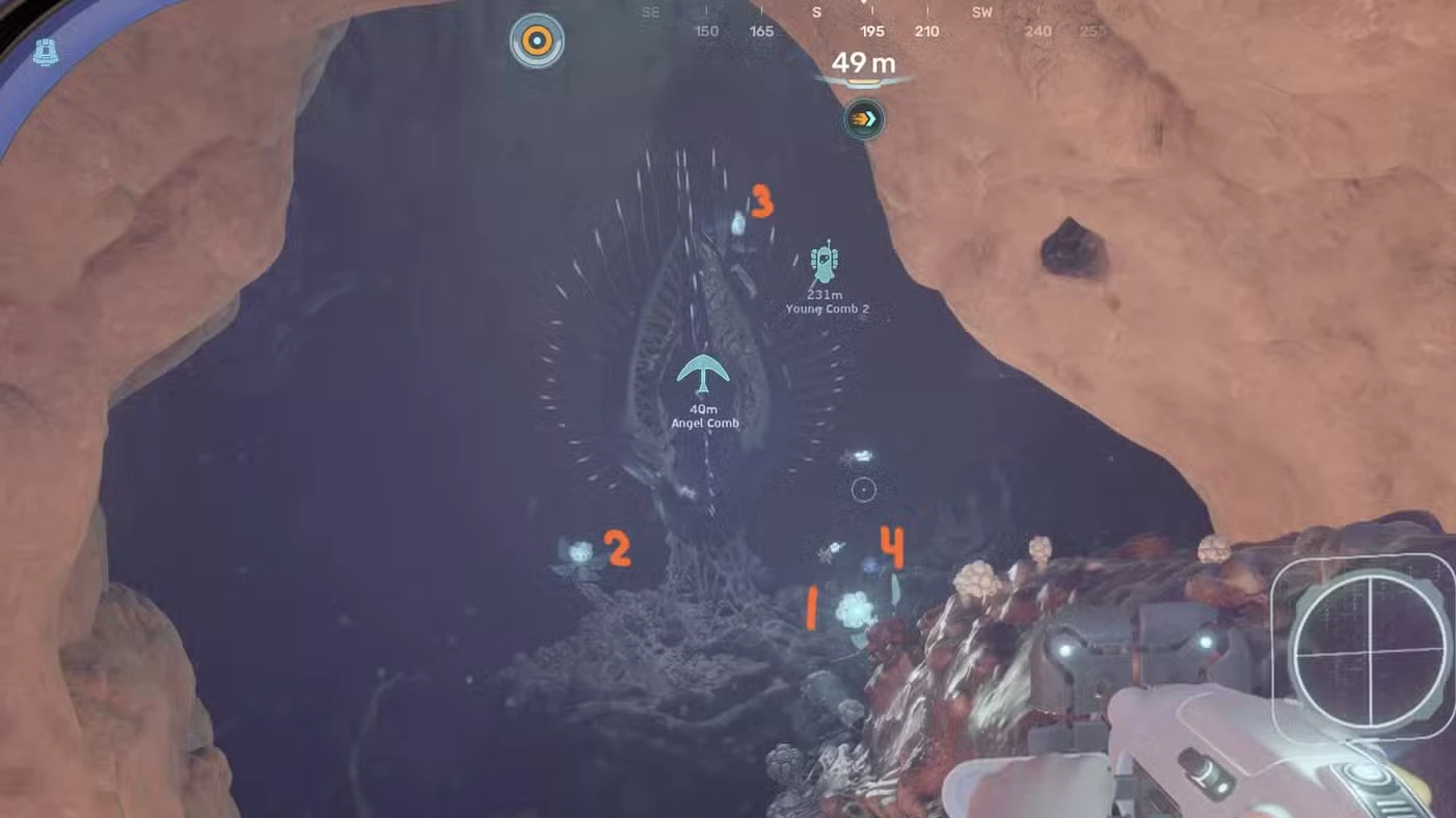 Angel Comb Guide In Subnautica 2