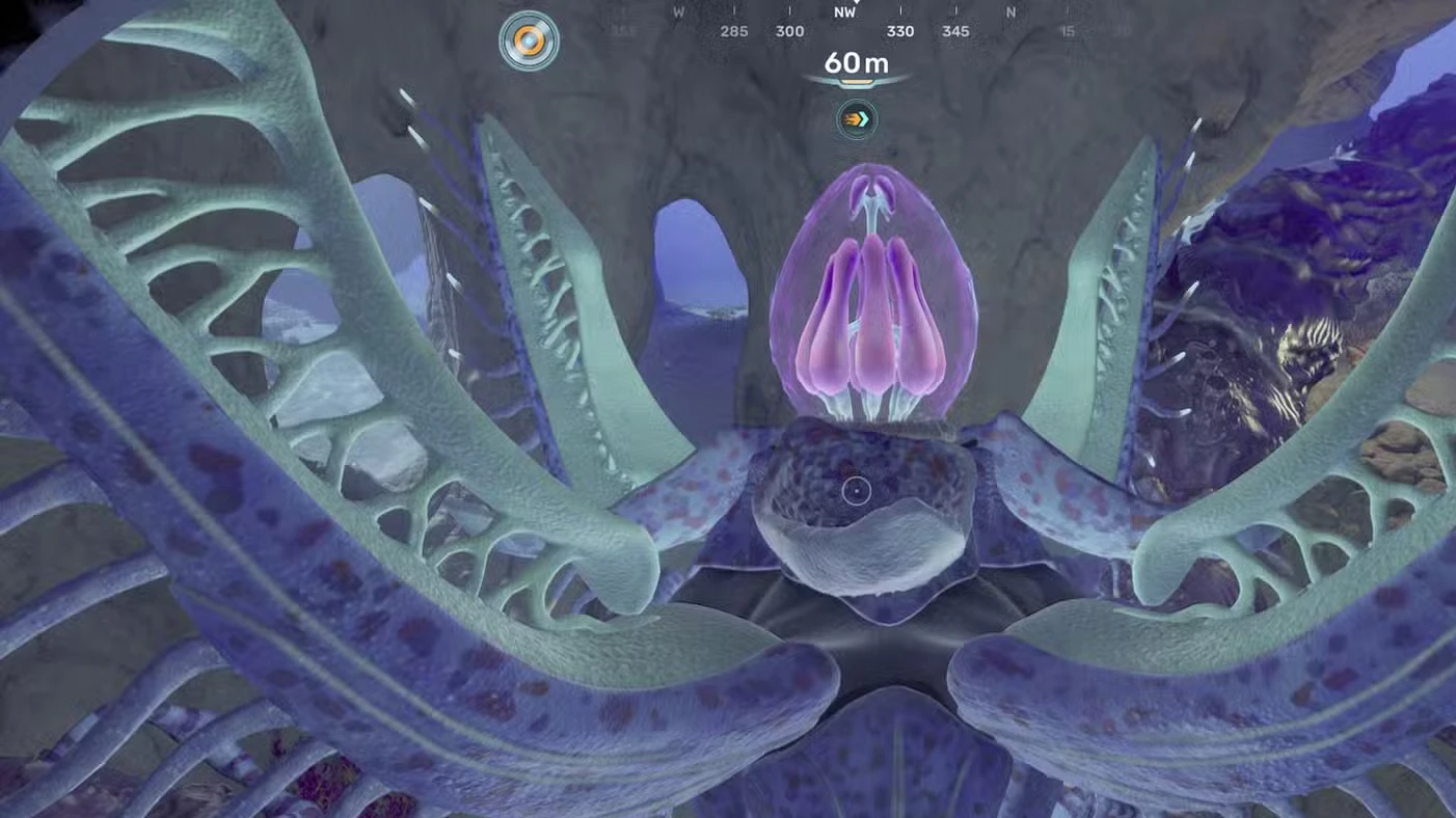 Angel Comb Guide In Subnautica 2