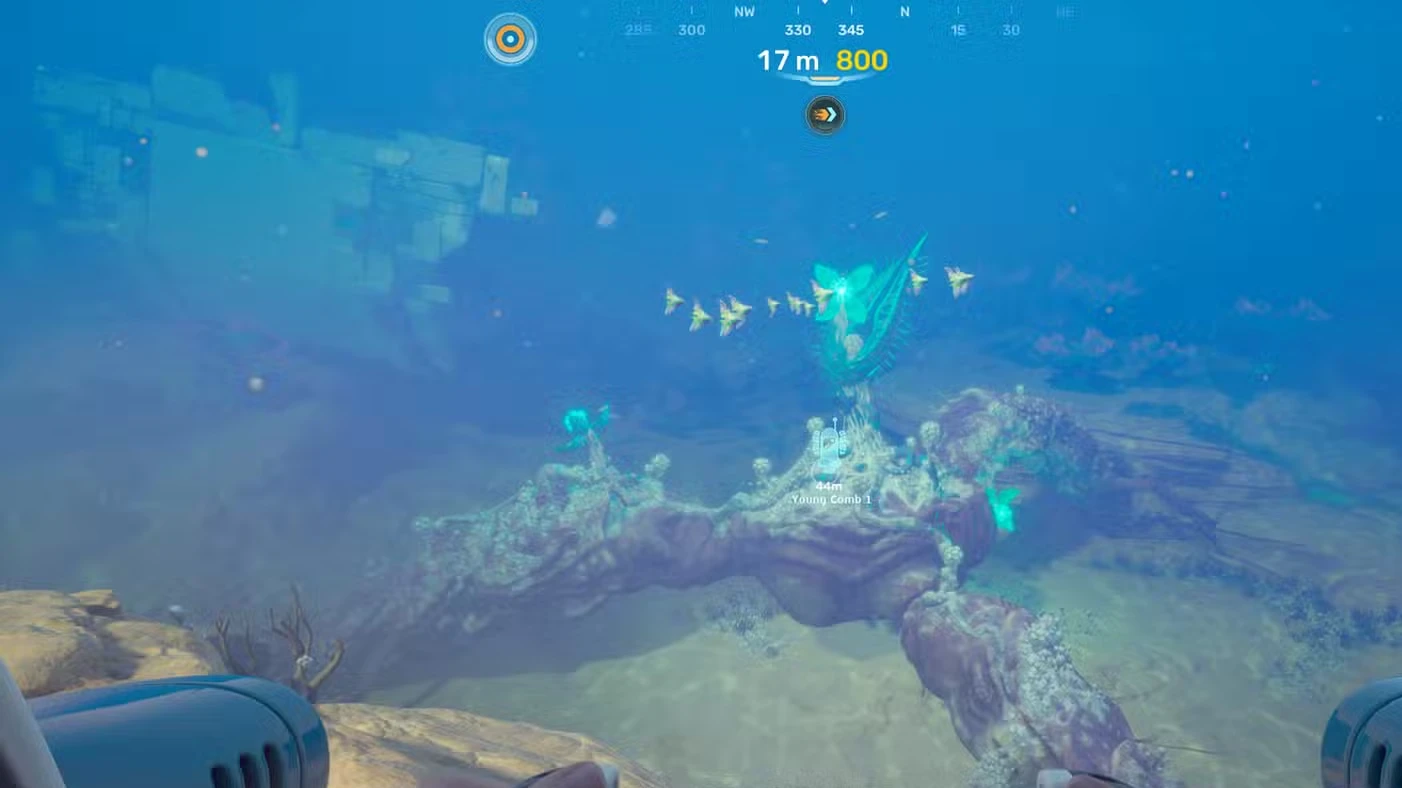 Angel Comb Guide In Subnautica 2