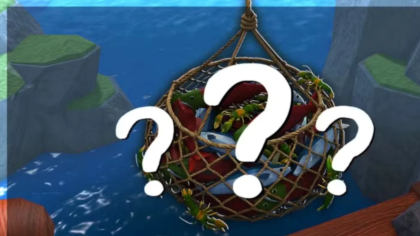 Catch and Cook Codes