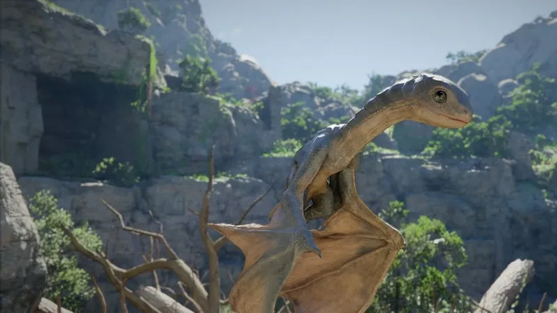 Localização e incubação do ovo do bebê Wyvern em Crimson Desert