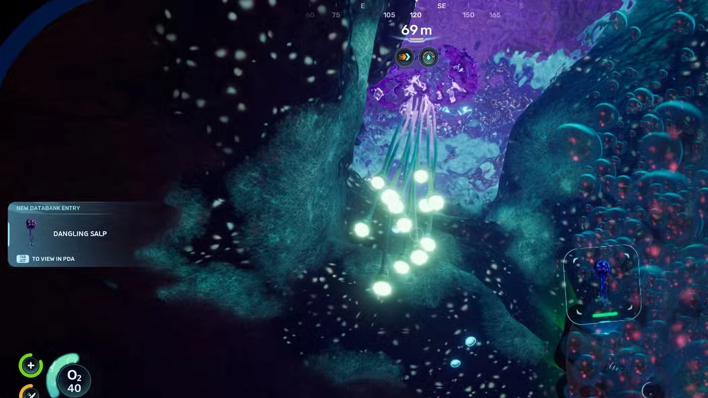 Subnautica 2 - All Creatures List