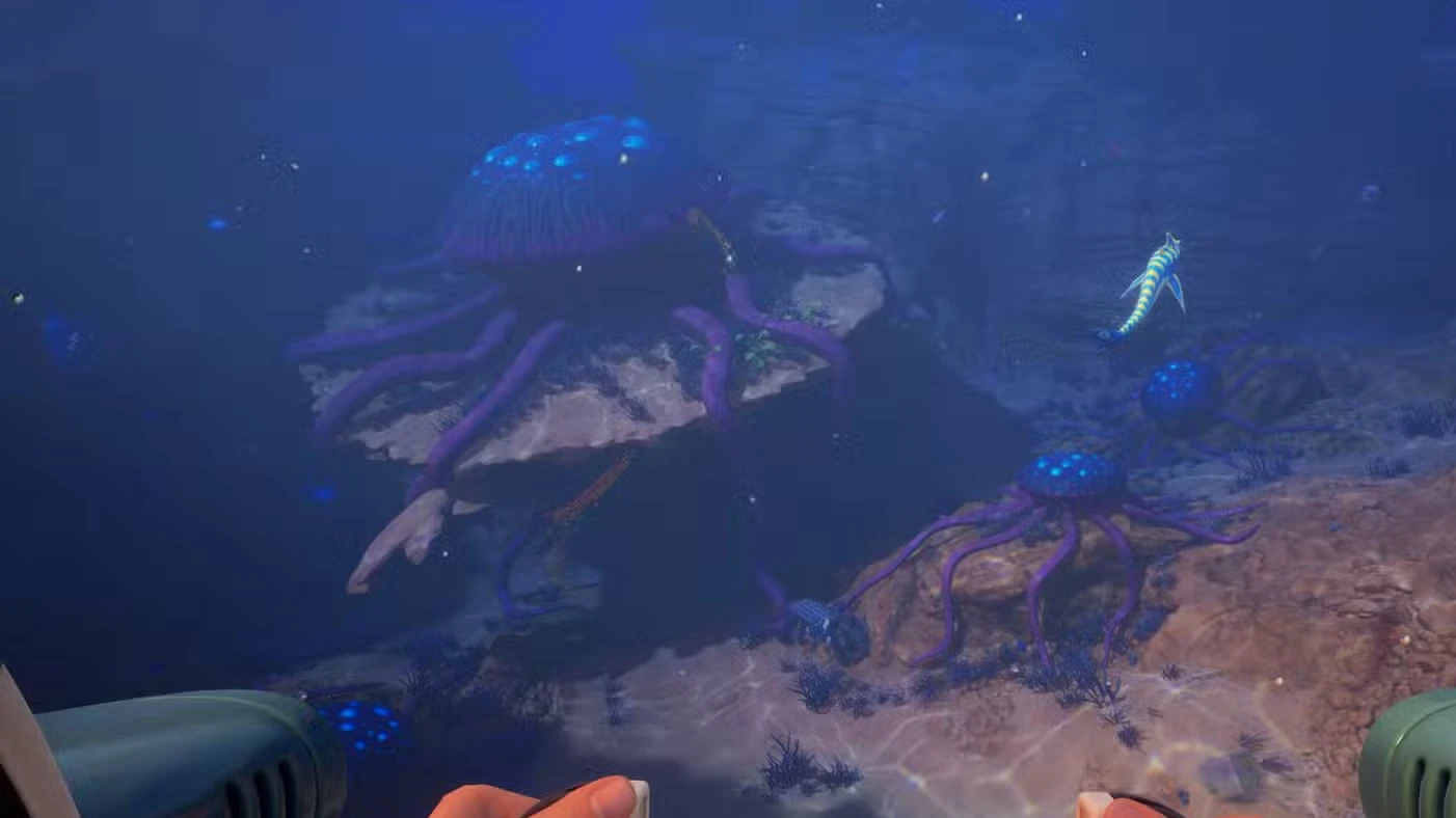 Subnautica 2 Early Access Price, Game Pass, Platforms & What’s Included
