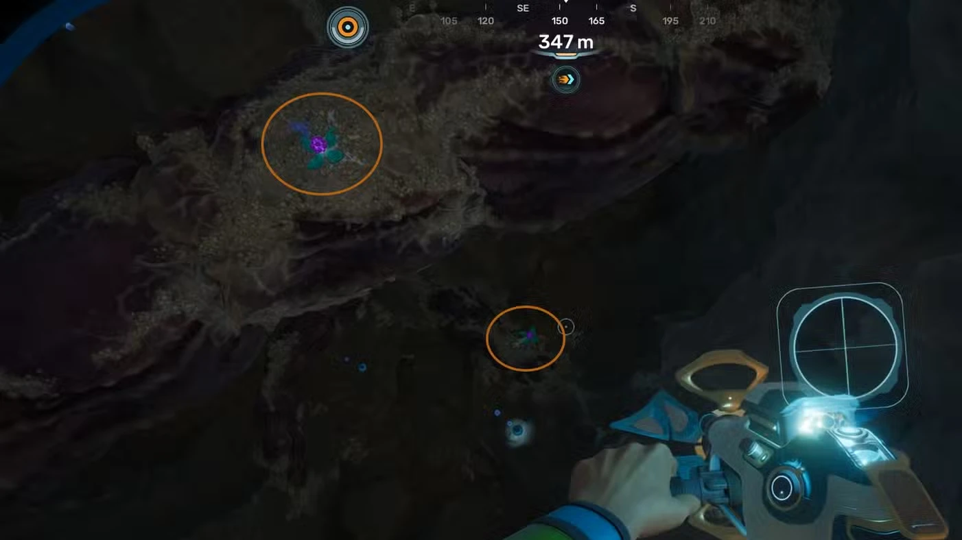 The Disease Is Armored Guide In Subnautica 2 (Alien Ruins Angel Comb)
