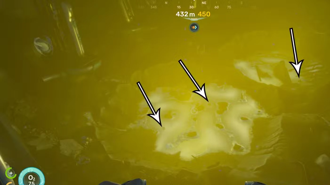 Where to find axum bacterial cultures in Subnautica 2