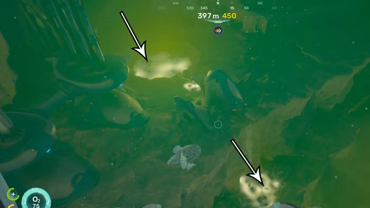 Where to find axum bacterial cultures in Subnautica 2