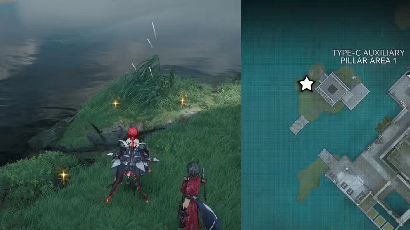 Where to find redjade ginseng in Arknights: Endfield