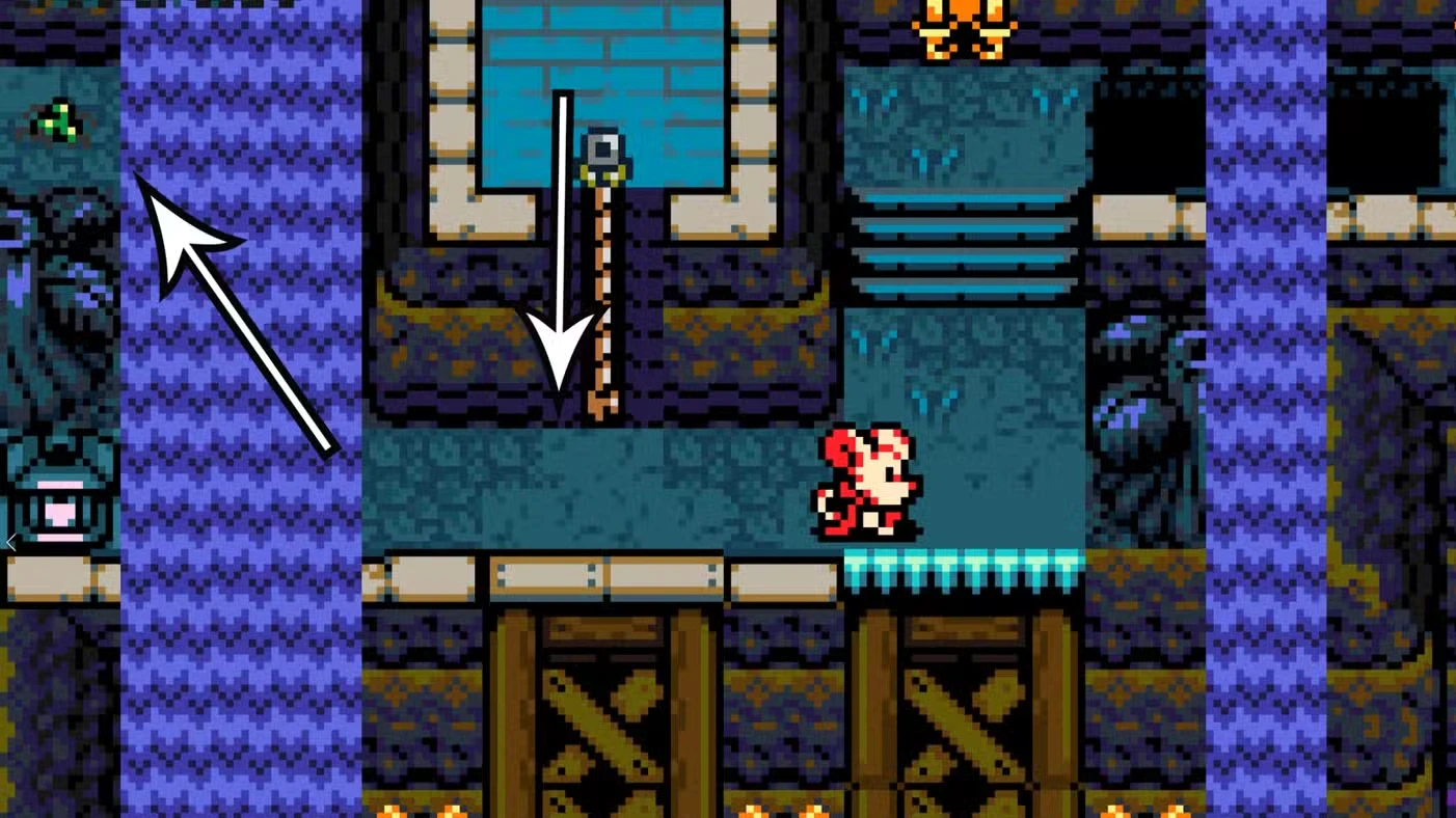 Where to find the missing lil' frog in the Bayou in Mina the Hollower