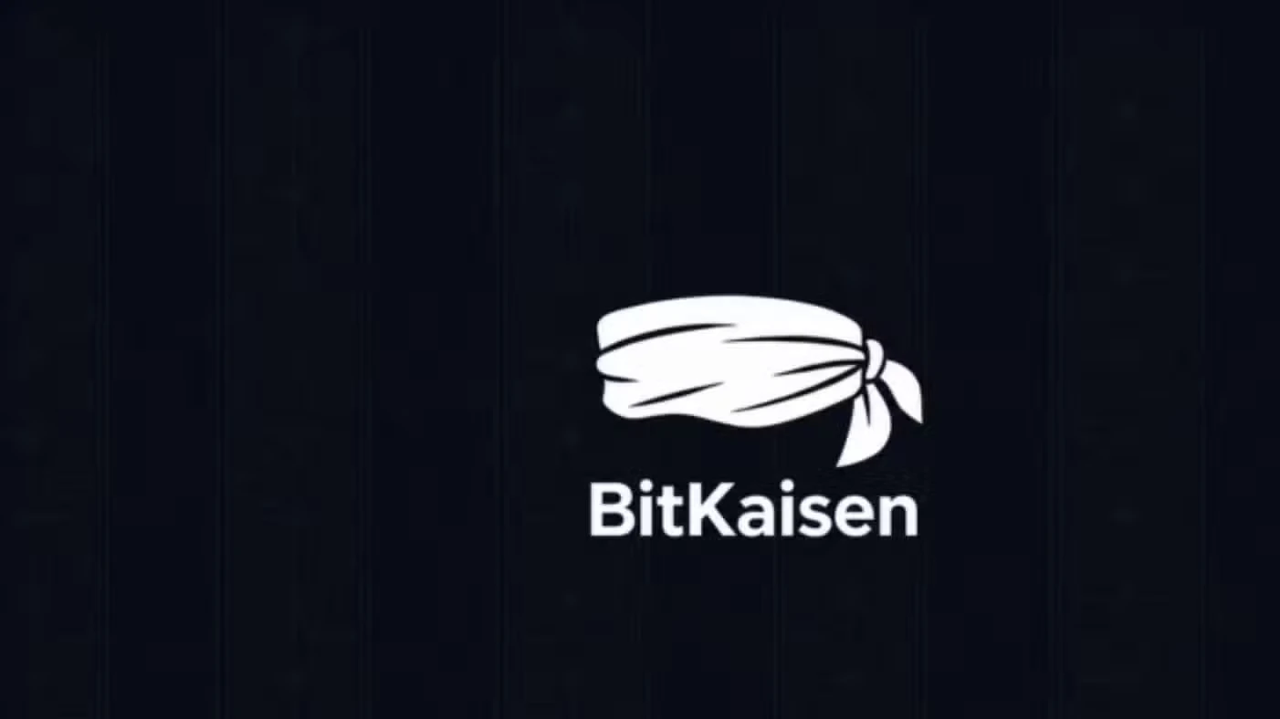 BitKaisen Codes