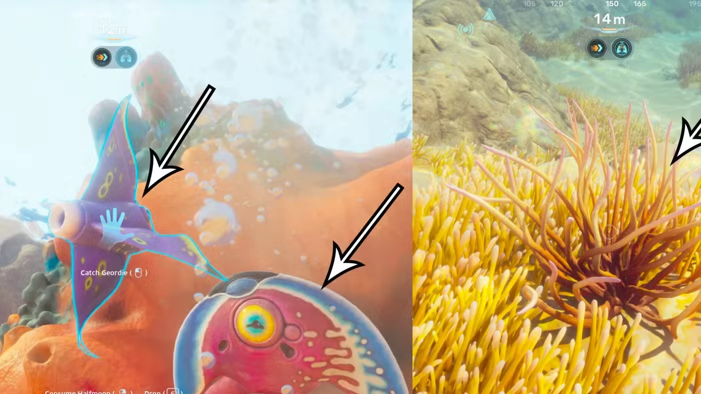 How to get food in Subnautica 2