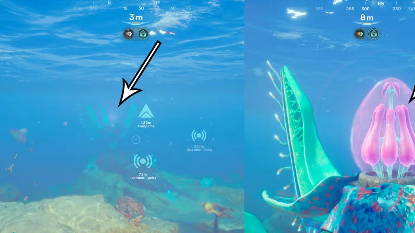 How to get food in Subnautica 2