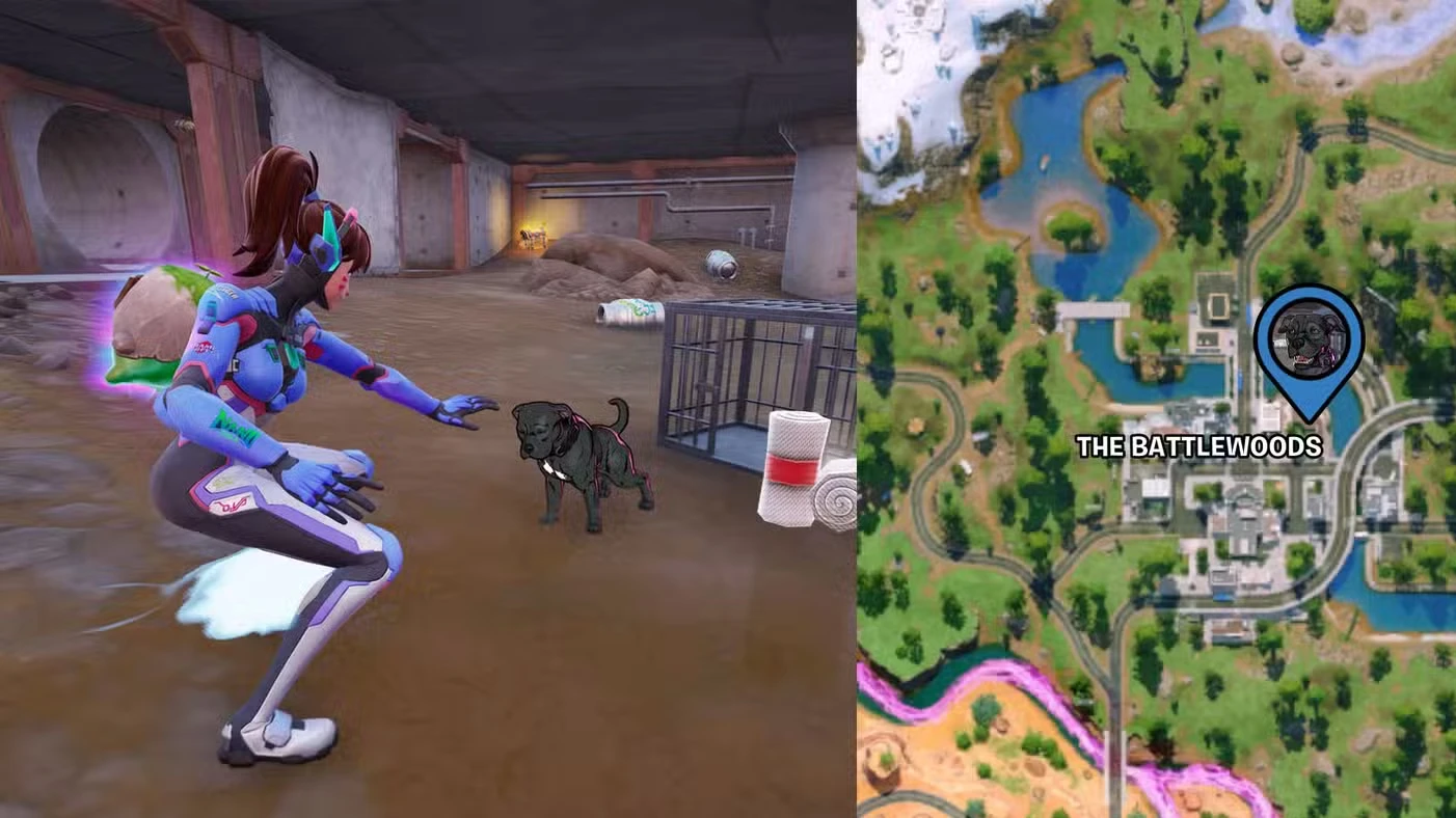 John Wick's Dog location in Fortnite Chapter 7 Season 3