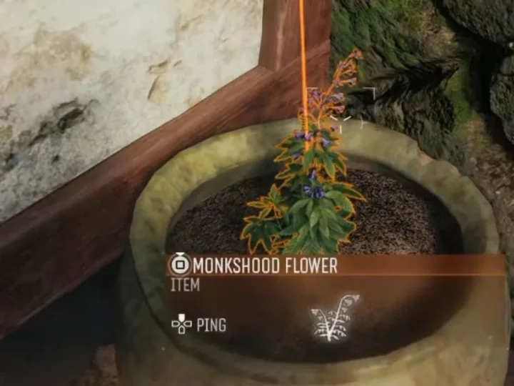 Como cultivar a Flor Monkshood em Kowakujo (Black Ops 7 Zombies)
