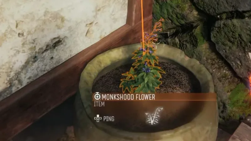 Como cultivar a Flor Monkshood em Kowakujo (Black Ops 7 Zombies)