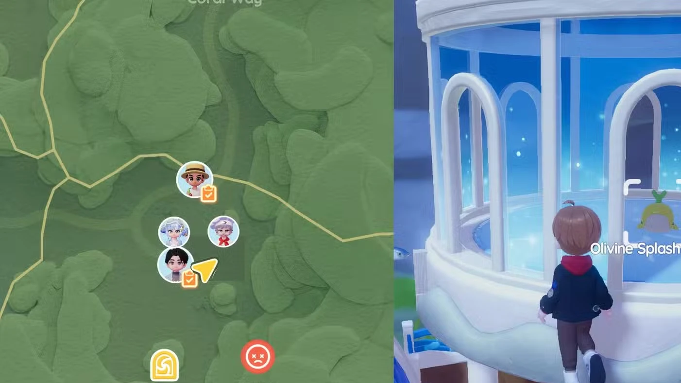 Onde encontrar a Baleia Splash de hoje em Heartopia