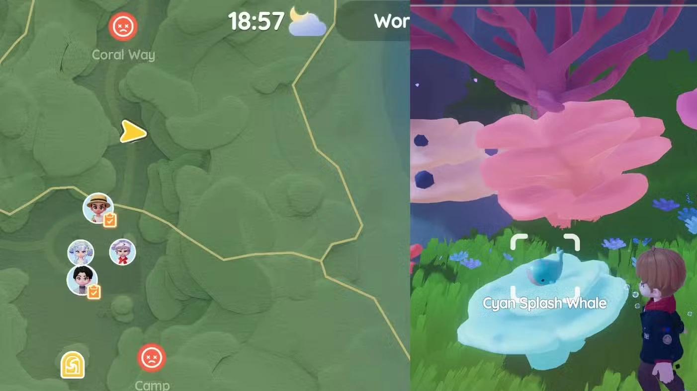 Onde encontrar a Baleia Splash de hoje em Heartopia