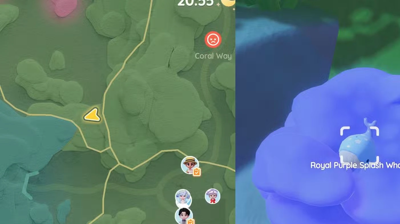 Onde encontrar a Baleia Splash de hoje em Heartopia
