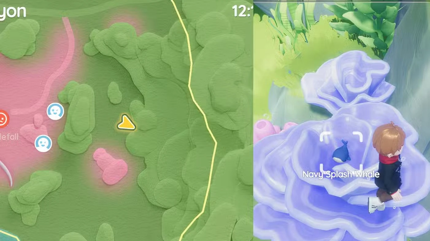 Onde encontrar a Baleia Splash de hoje em Heartopia