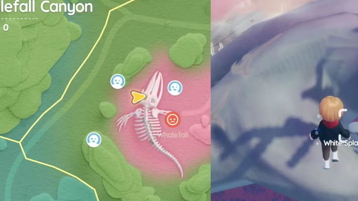 Onde encontrar a Baleia Splash de hoje em Heartopia