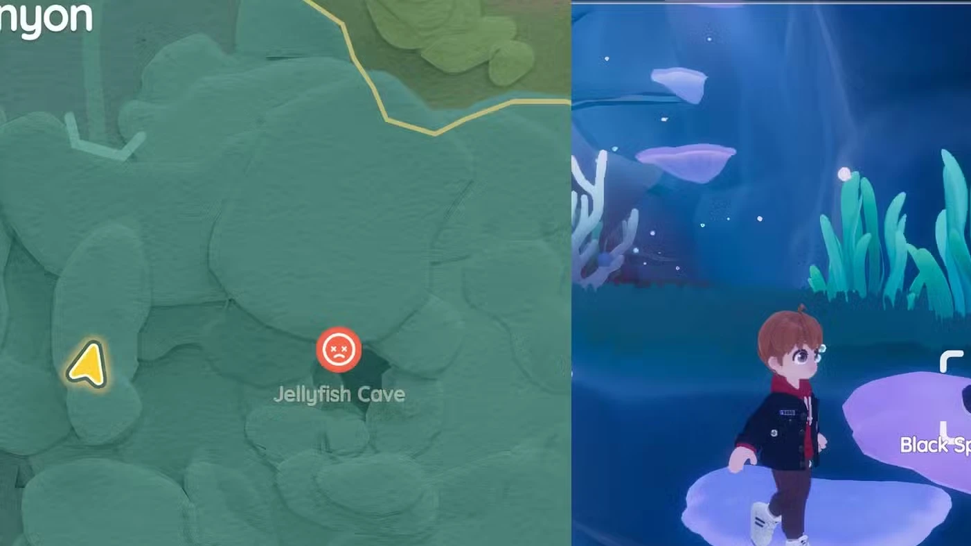 Onde encontrar a Baleia Splash de hoje em Heartopia