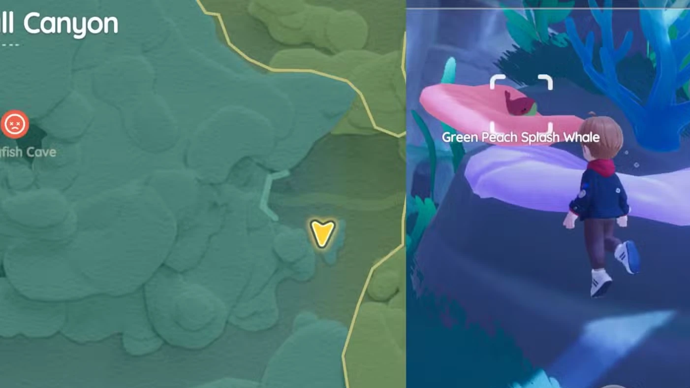 Onde encontrar a Baleia Splash de hoje em Heartopia