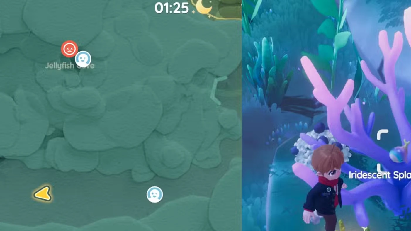 Onde encontrar a Baleia Splash de hoje em Heartopia