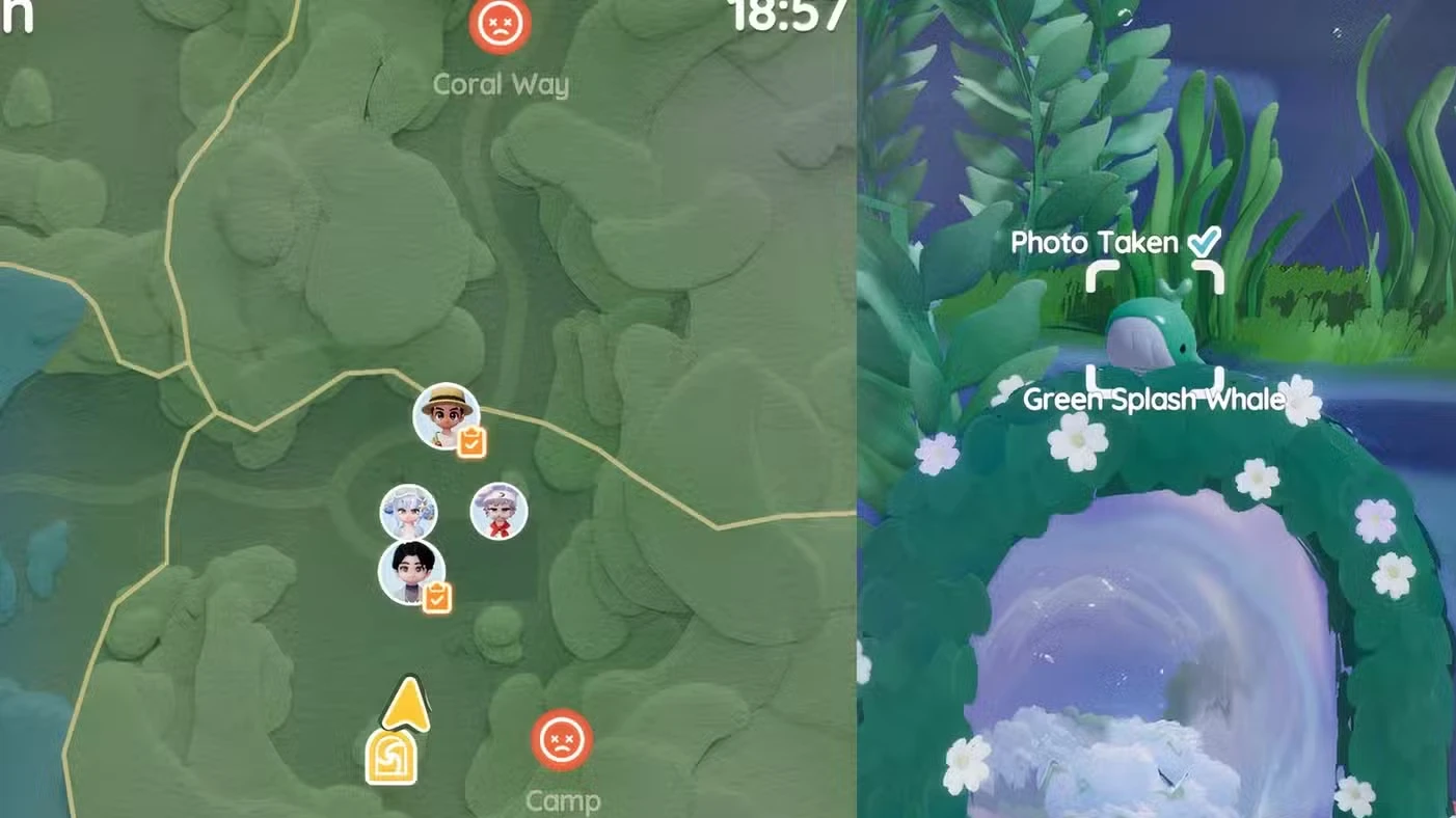 Onde encontrar a Baleia Splash de hoje em Heartopia