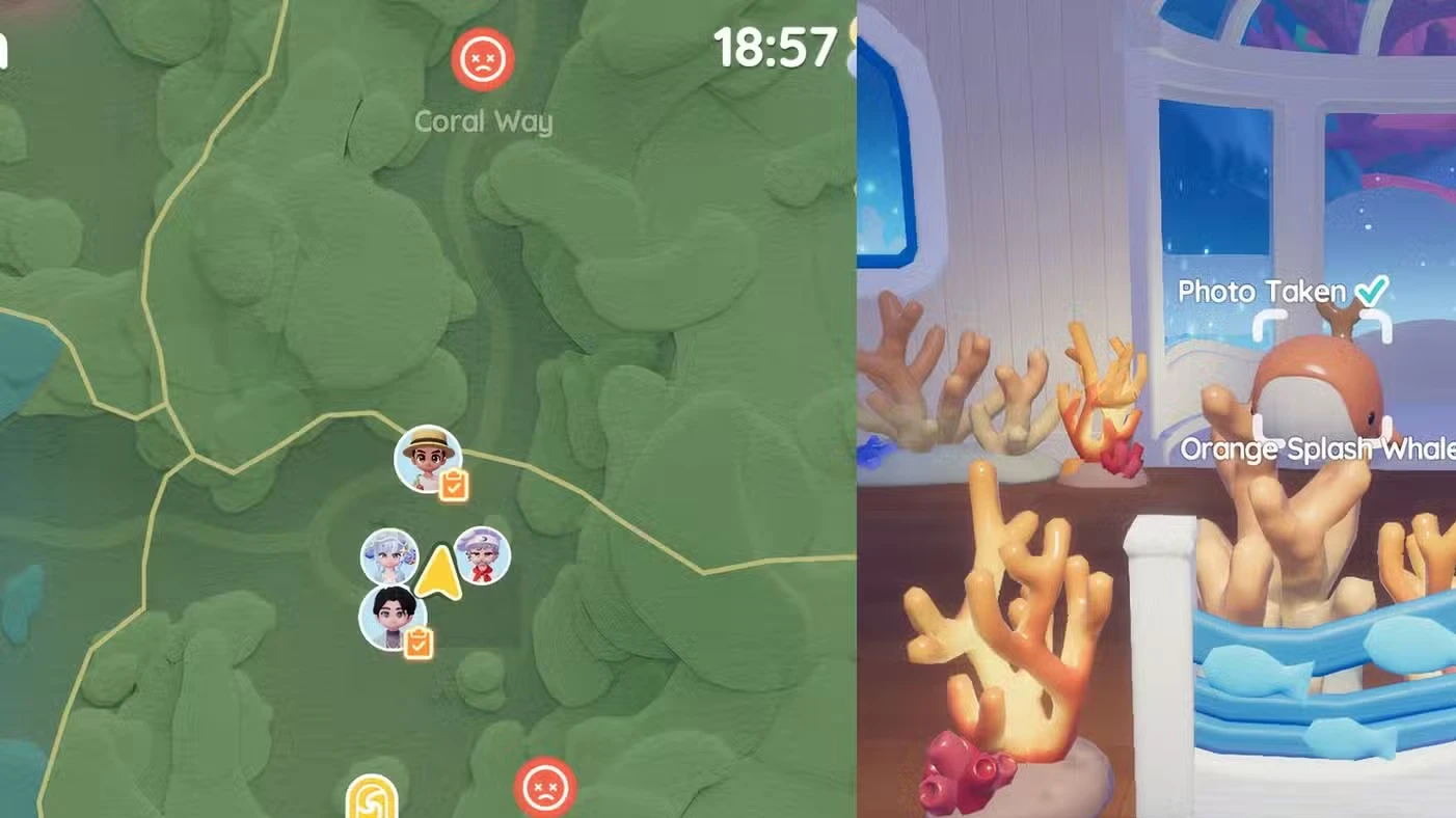Onde encontrar a Baleia Splash de hoje em Heartopia