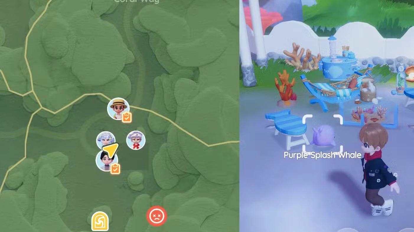 Onde encontrar a Baleia Splash de hoje em Heartopia
