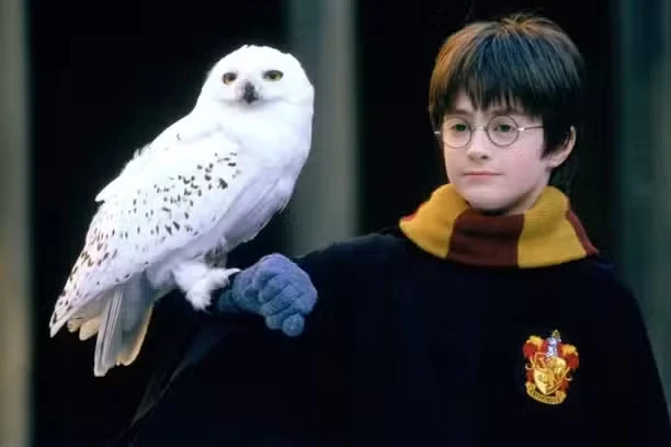 Harry Potter: Hogwarts Mystery News, Trailer, Guides, and More