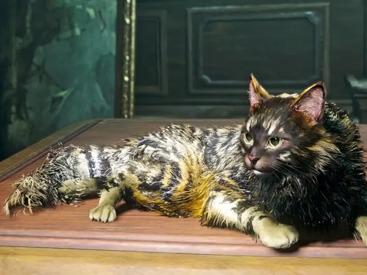 Como desbloquear todos os pets em Assassin’s Creed Black Flag Resynced