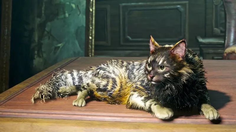 Como desbloquear todos os pets em Assassin’s Creed Black Flag Resynced