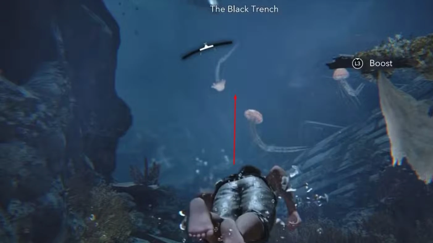 How to Get Davy Jones' Locker Trophy/ Achievement - AC Black Flag Resynced