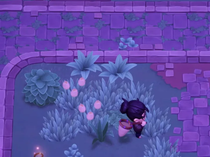 Onde encontrar a rede em Moonlight Peaks e capturar criaturas
