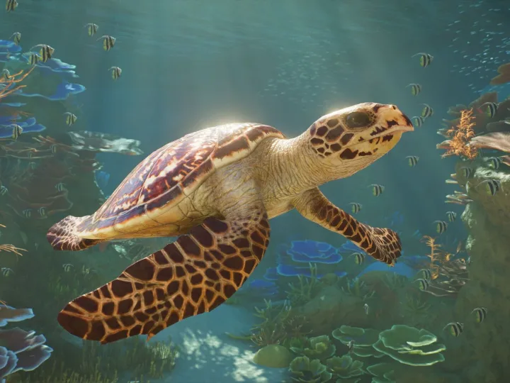 Planet Zoo 2 detalha aquários e cuidados com espécies marinhas em novo trailer